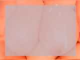 Welcome to cammodel profile for XverybigtittsXX: Kissing