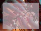 Adult chat with OrangeSoul: Lingerie & stockings