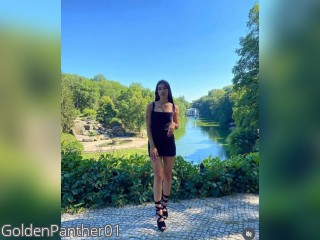 Visit GoldenPanther01 profile