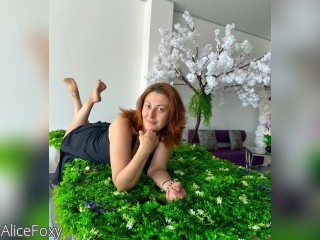 Visit AliceFoxy profile
