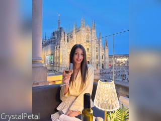 Visit CrystalPetal profile