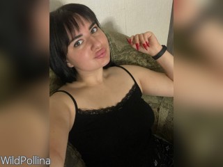 Visit WildPollina profile
