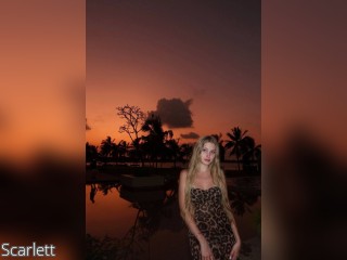 Visit Scarlett profile