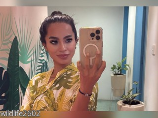 Visit wildlife2602 profile