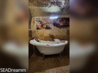 Visit SEADreamm profile