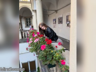 Visit MiraSweetie profile