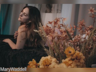 Visit MaryWaddell profile