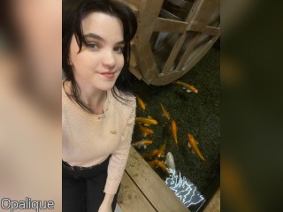 Visit Opalique profile