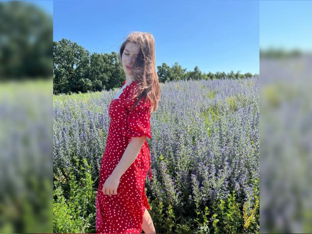 Visit SweetTrap profile