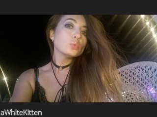 Image of cam model aWhiteKitten from CamContacts