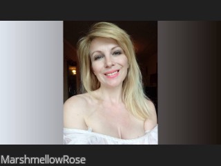 Webcam model MarshmellowRose from CamContacts