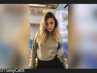 Image of cam model 01SexyCattt from CamContacts