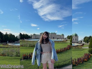 WildDreams