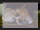 Why not cam2cam with NaturalNails: Legs, feet & shoes