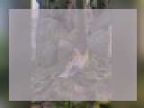 Why not cam2cam with AmistLove1