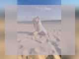 Welcome to cammodel profile for Margosha1: Dancing