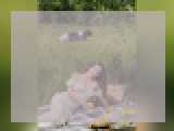 Connect with webcam model SweetLov1: Art