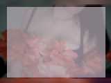Adult chat with japanlily: Nails