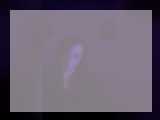 Welcome to cammodel profile for ArianaDelReyy: Piercings & tattoos