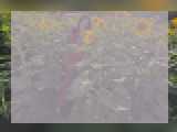 Why not cam2cam with VelvetSoul: Conversation