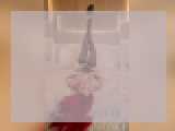 Welcome to cammodel profile for BiancaLuxor: Lingerie & stockings