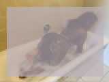 Why not cam2cam with ChocolateBunny: Piercings & tattoos
