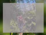 Why not cam2cam with VanillaVibe: Conversation