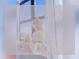 Why not cam2cam with SpellboundGirl: Travel