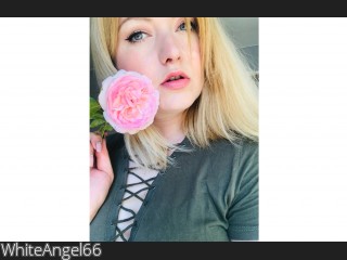 View WhiteAngel66 profile in Make New Friends category