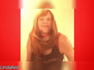 View LindaRed profile in Make New Friends category