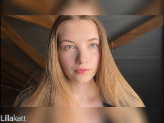 Visit Lillakatt profile