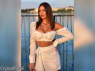 Visit CrystalPetal profile