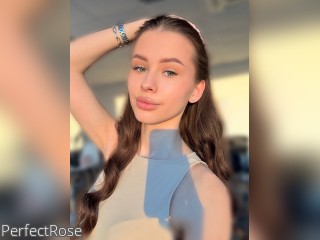 View PerfectRose profile in Make New Friends category