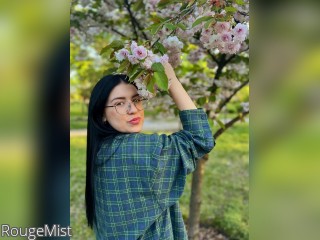 Visit RougeMist profile