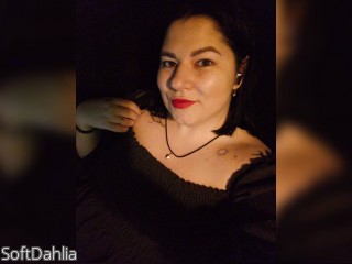 Visit SoftDahlia profile
