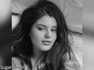 Visit SugarBloom profile