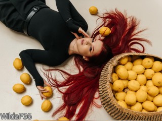 View WildaF66 profile in Girls - A Little Shy category