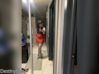 View Destinybbb profile in Strip HiLo category