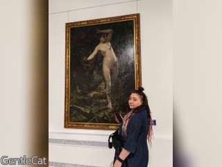 Visit GentleCat profile