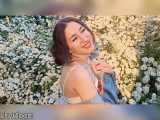 View ShyBloom profile in Long Term or Marriage category