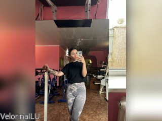 View VelorinaILU profile in Girls - A Little Shy category