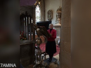 Visit 7AMINA profile