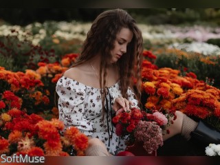 View SoftMuse profile in Make New Friends category