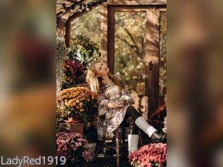 View ladyred1919 profile in Make New Friends category