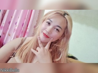 Visit NikkiBella profile