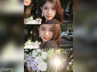 View cherry profile in Girls - A Little Shy category