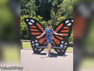 Visit VelvetWhier profile