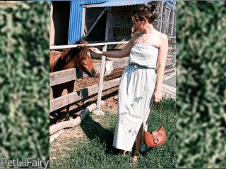 Visit PetLilFairy profile