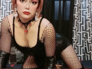 View VivaHotBabeTS profile in Gender Benders category