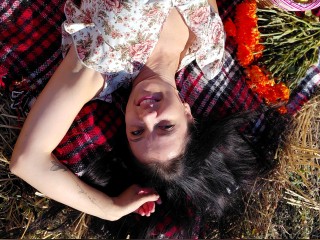 Visit LadyFly1 profile